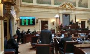 Senate vote on HB40